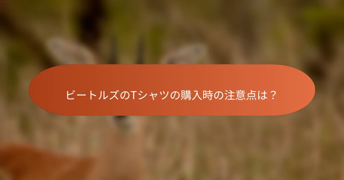 ビートルズのTシャツの購入時の注意点は?