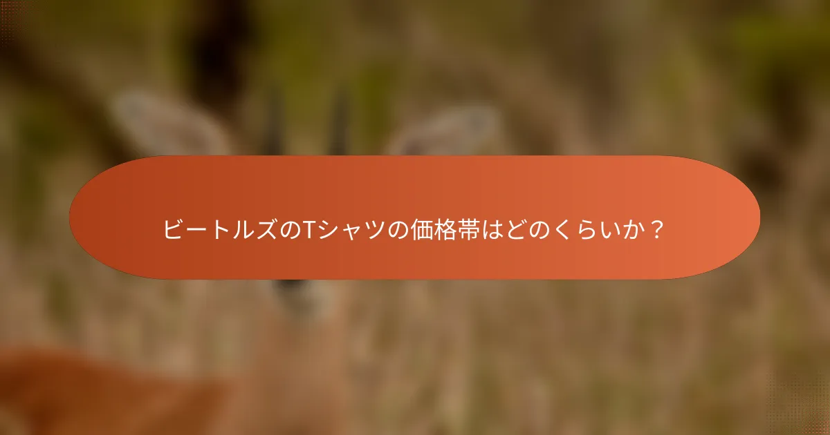 ビートルズのTシャツの価格帯はどのくらいか?